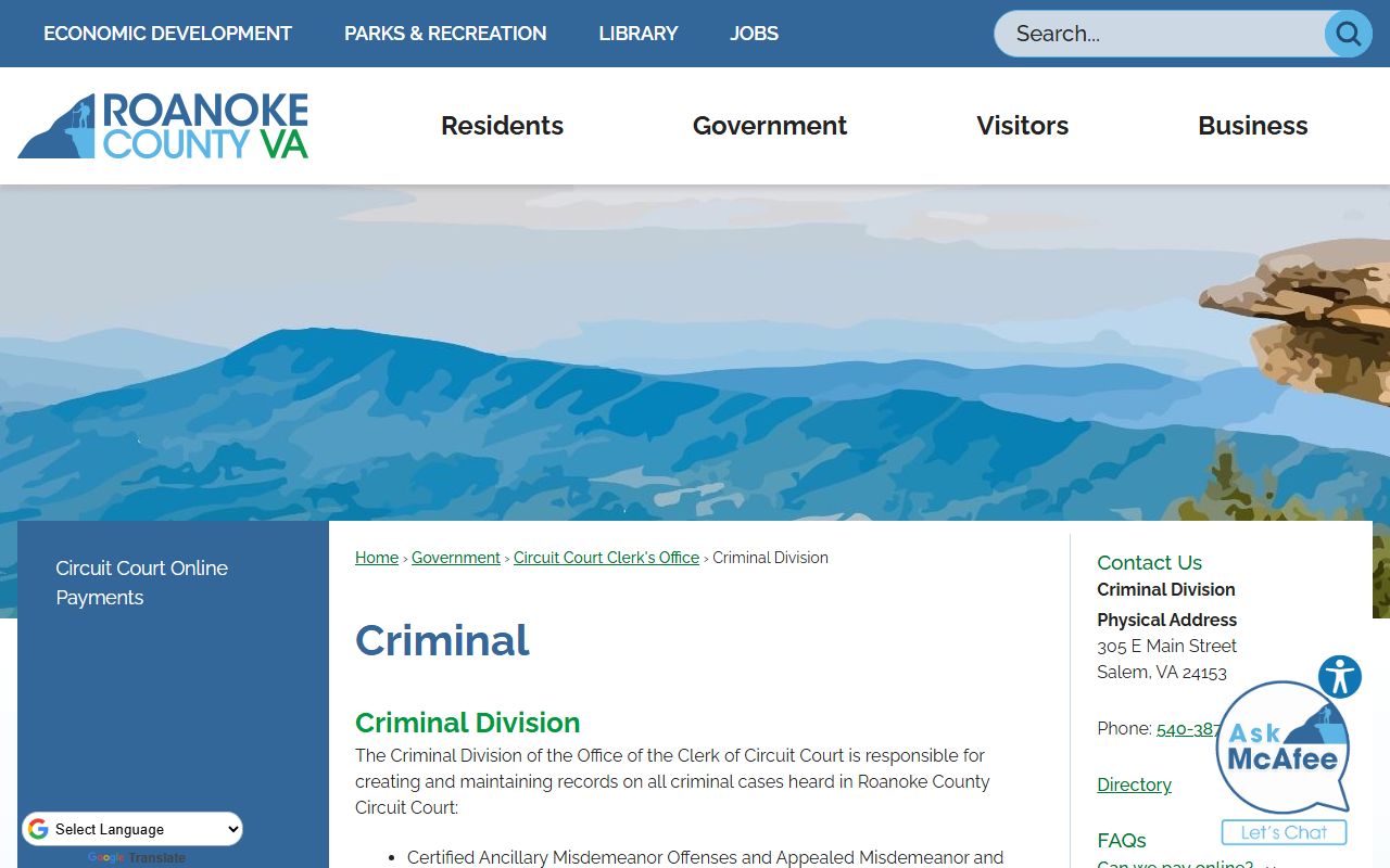 Roanoke People Search criminal division page